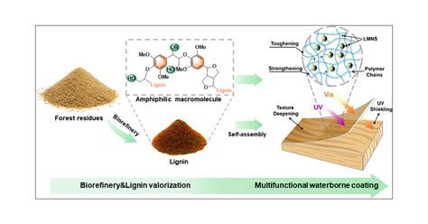  Lignin – Uusi polvi biopohjaisista materiaaleista ja kestävän kemian pioneeri!